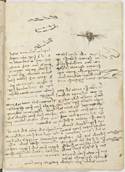 Code de vol des oiseaux, c. 1505-06, manuscrit sur papier, cc. 18, feuille 18 recto